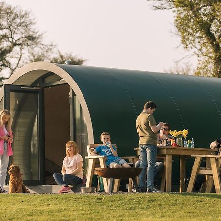 Kinelarty Luxury Glamping Pods Downpatrick Hotell Eksteriør bilde