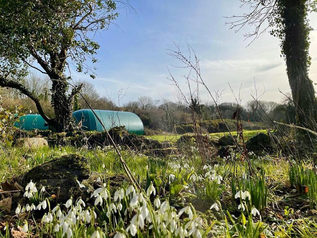 Kinelarty Luxury Glamping Pods Downpatrick Hotell Eksteriør bilde